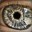 Auge