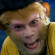 花果山水帘洞洞主孙悟空