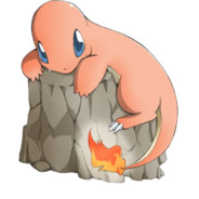 zefnoz