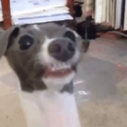 Chi