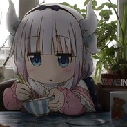 不吃香菇不吃香菇