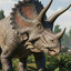 Triceratops