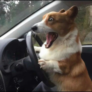 五百年没吃螺蛳粉了