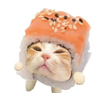 怎么办怎么办还想睡