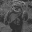 ewoks