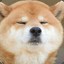 黑死拖雷鸭