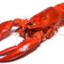 lobster_tank