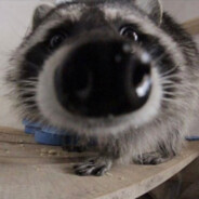 ИДИ Н@ХУЙ ГНИД@