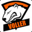 Voller