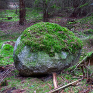 Rock
