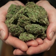 Грамм ганжа