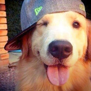 cataopr - steam id 76561198319943365