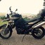 trindade_22