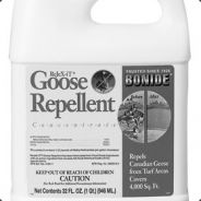 Goose - steam id 76561197969835787