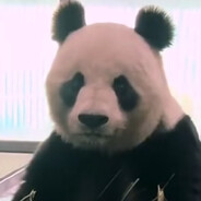 不知道啊没**我