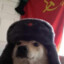 sovetskaya sobaka