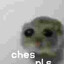 mouse