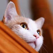 荒泷天下第一斗