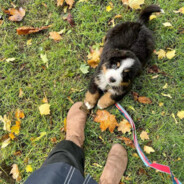 谁敢动我螺蛳粉