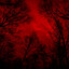 vanish
