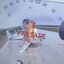 Ukrainian drone technician