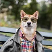 无形装逼最为致命