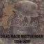 Nachzehrer