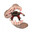 seventeEn (user of xanax)'s Avatar