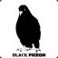 Black Pigeon