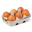6 bloodclaat egg dead dog