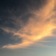 北天黑帝阴朝槿