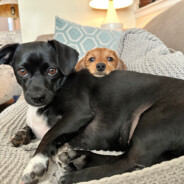 Zawiszaaa - steam id 76561198210808119