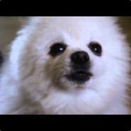 lxrid gamdom.com