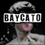 baycato.cc