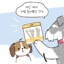 아옌