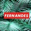 Matheus Fernandes