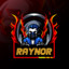 RAYNOR GAMES