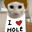 Player avatar