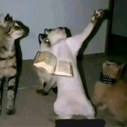 лишай курган