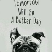 大力不会出奇迹