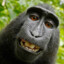 MonkeyMan