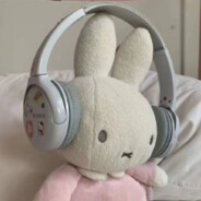 天王星蹦极豆干