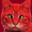 Gato Vermelho vesgo