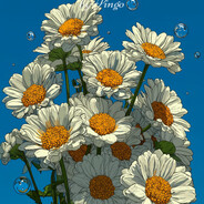 钢管杵青蛙—顶呱呱