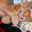 remco le chaton