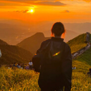 沦陷于夏日晚风ww