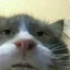 Dan.