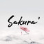 [F06C7C]2Death | Sakura'