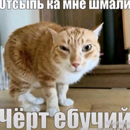 Псина #bummerrust