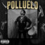 Polluelo